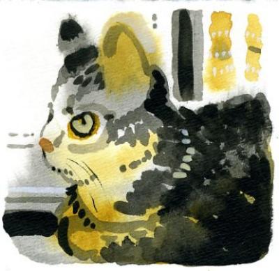 Community Archive: Our Members and COVID-19