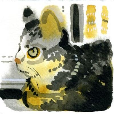 Community Archive: Our Members and COVID-19