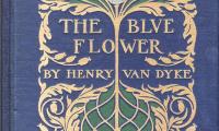 The Blue Flower