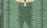 How to Know the Ferns: a Guide to the Names, Haunts, and Habits of Our Common Ferns